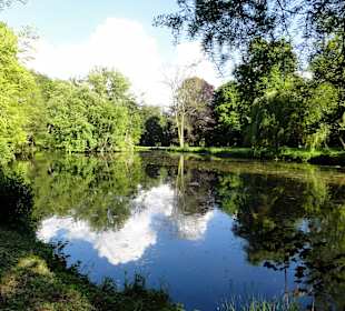 Die Teiche des Park Schönfeld