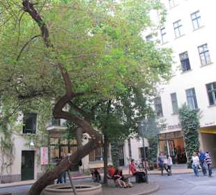 Einer der 8 Hackeschen Höfe