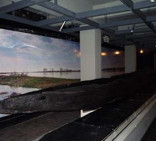 Ekspozycje z podziemiach