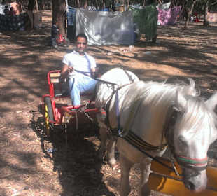 Stadtrundfahrt Agadir