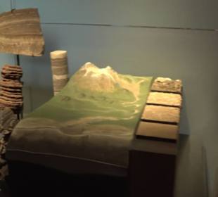 Museum der Naturkunde