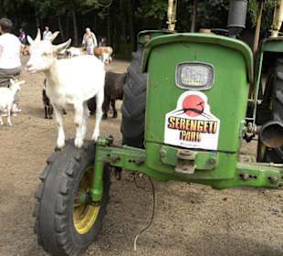 Serengeti Park Hodenhagen