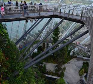 Gardens by the Bay
