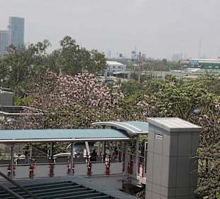 Stadion Mo Chit Ausgang