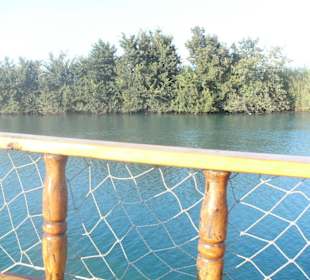 Tour Delphine Island