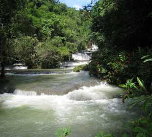 YS Falls