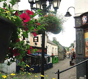 Wunderschöne Bepflanzungen