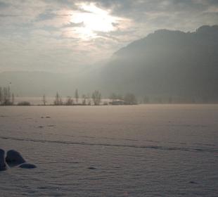 Blick auf den Walchsee