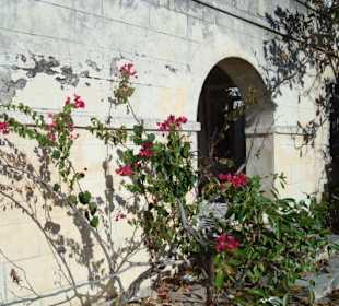 Im Dornröschenschlaf