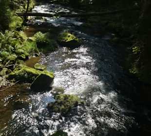 Von Bayerisch Eisenstein nach Ludwigsthal