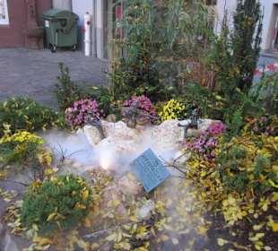 Chrysanthema Lahr