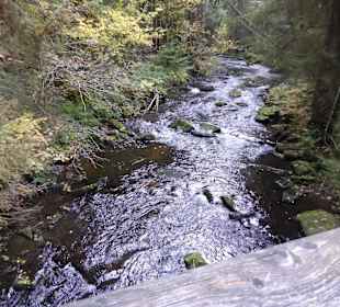 Quer durch Felder und Wälder