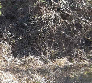 Historischer Rundwanderweg Aichtal