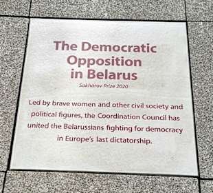 Für die ukrainische Opposition. 