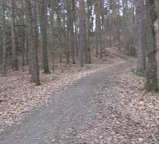 Unterjesinger Wengertwegle