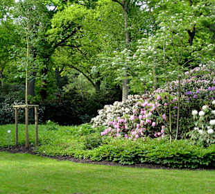 Spaziergang durch den Rhododendronpark im Mai