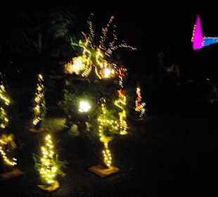 Dekos am Weg entlang