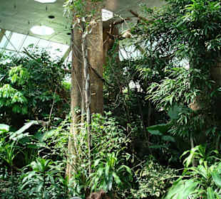 Central Park Zoo