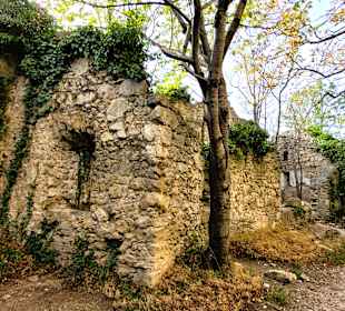 Burgruine Rauheneck