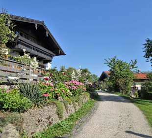 Morgenspaziergang über die Fraueninsel