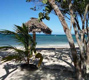 Ausflug Paradiesinsel