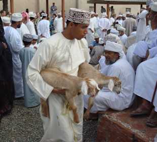 Ausflug zumTiermarkt in Nizwa