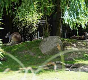 Tierpark Hagenbeck