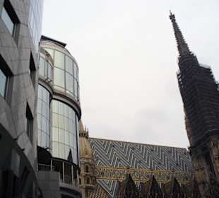 Haas Haus mit Stephansdom