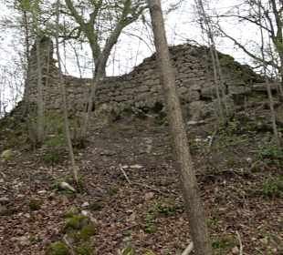 Ruine Monsberg