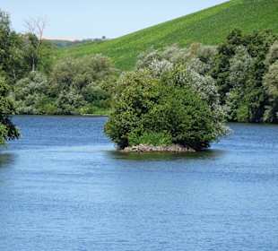 Unterwegs zur Mainschleife