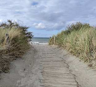 Hundestrand Heiligenhafen