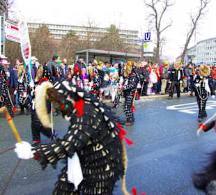 Nürnberger Faschingsumzug 2012