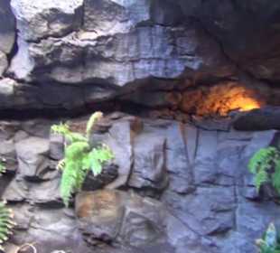 Fundacion Cesar Manrique