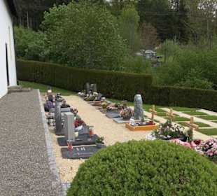Friedhof Schlatt
