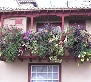 Kanaren Insel La Palma