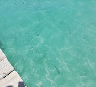 Strand Playa/Platja de Muro