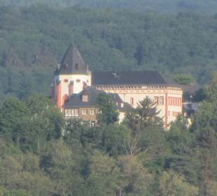 Wandern Zell (Mosel)