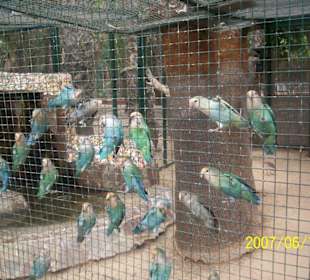 Stella Canaris Vogelpark