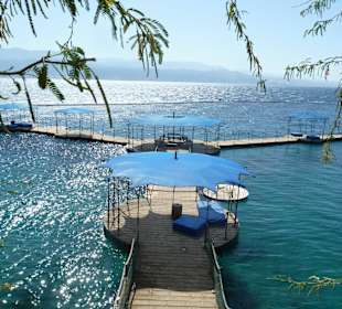 Dolphin Reef, Eilat