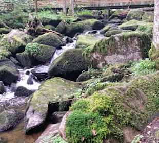 Wandern am Saußbach