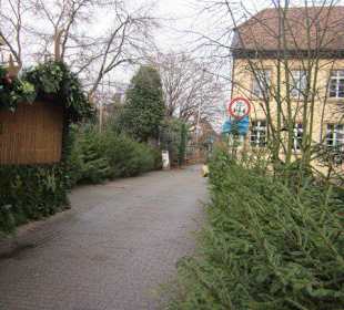 Weihnachtsmarkt Deidesheim