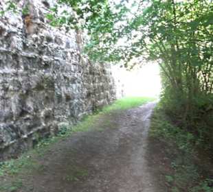 Burgruine Niederhaus