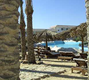 Blick durch die Palmen aufs Wellenbad