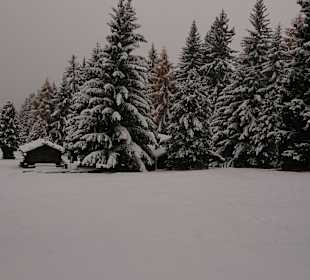 Wandern Rodengo / Rodeneck