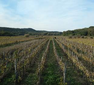Unterwegs auf der Insel Krk