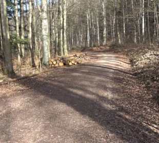 Premiumwanderweg Hohenwittlingensteig