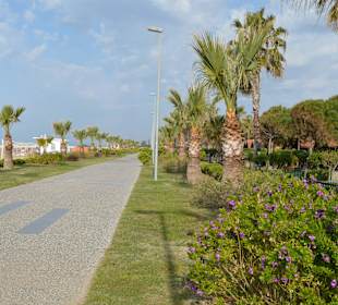 Promenade Çolaklı
