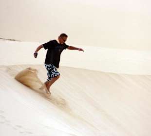 Sandläufer in der Wüste Süd-Tour