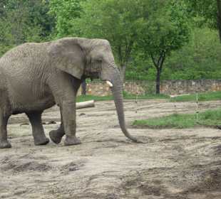 Zoo Warszawa