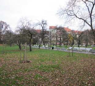 Mala Strana Vojanovy Sady